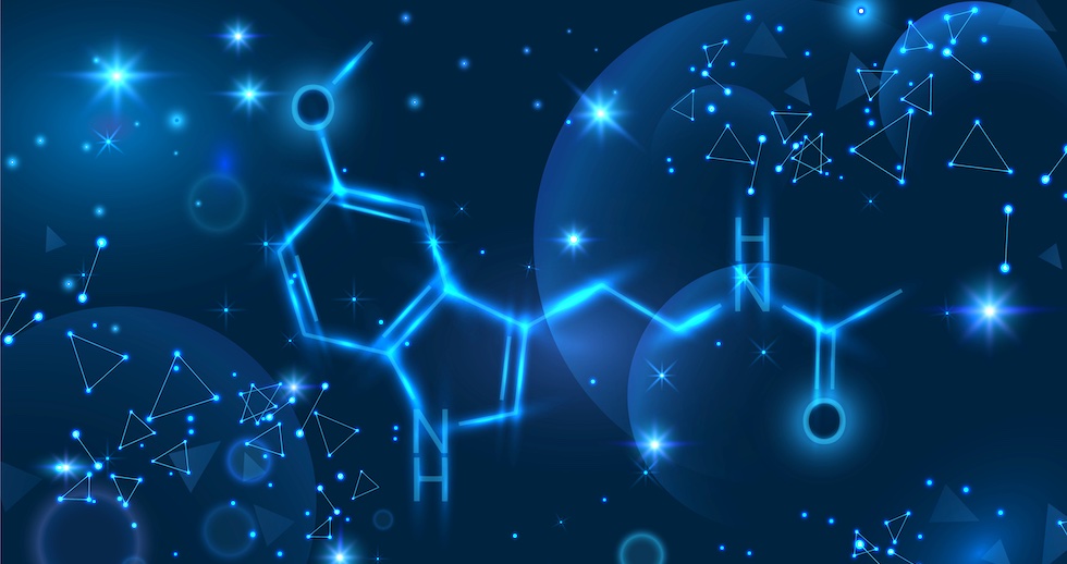 La mélatonine a été identifiée comme l'hormone qui intervient dans le déclenchement de l'envie de dormir lorsque l'intensité lumineuse baisse en fin de journée.